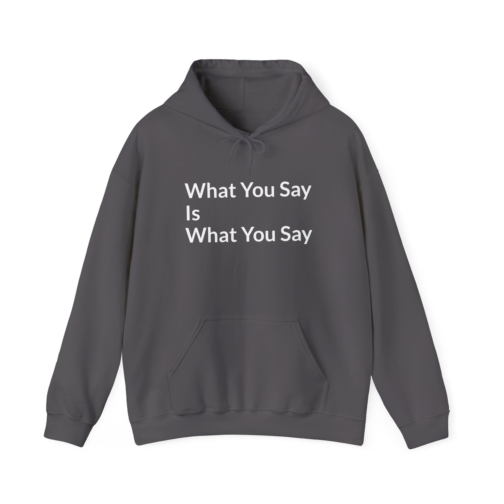 What You Say Is What You Say | Heavy Hooded Sweatshirt (Unisex)